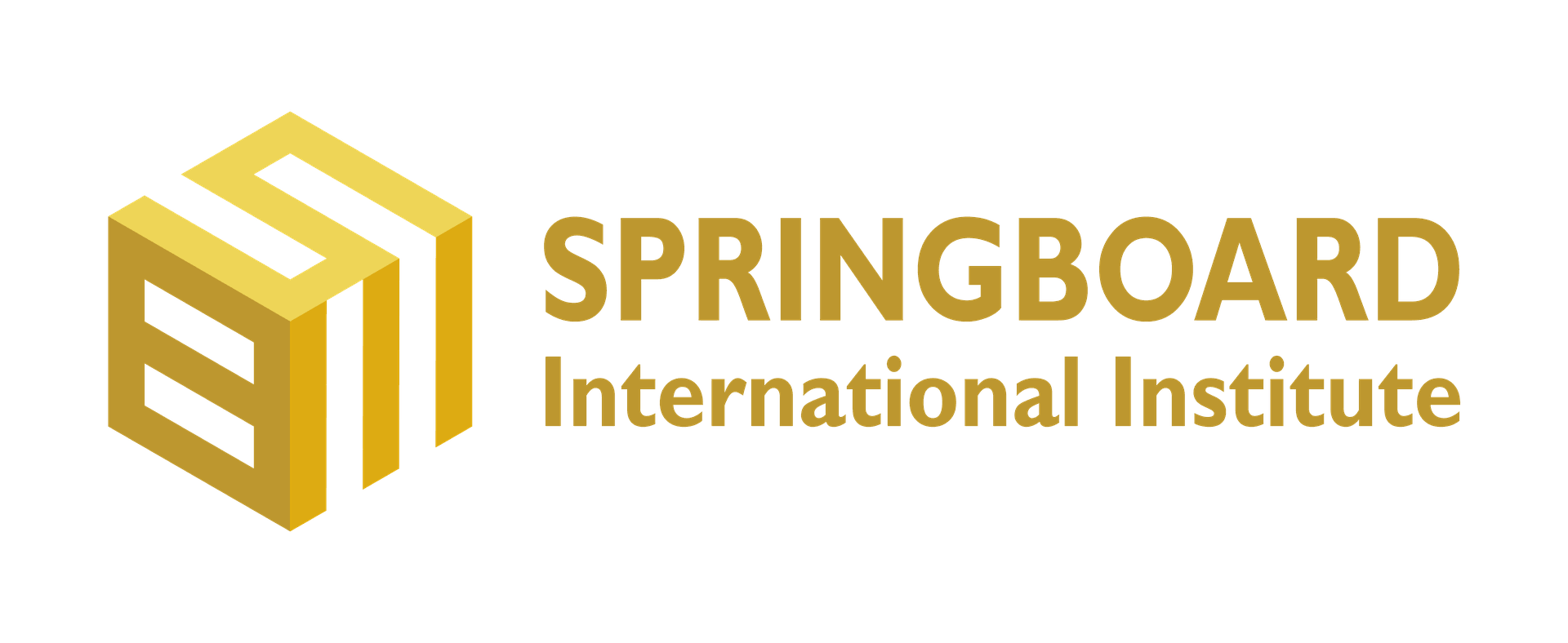 SPRINGBOARD INTERNATIONAL INSTITUTE